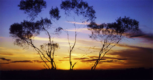 A World of Design Possibilities The Outback