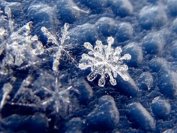 Incredible Examples of Snowflake Photography 3 108
