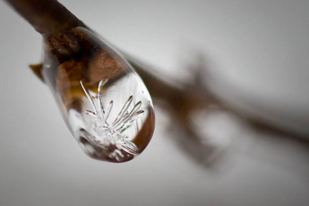 Incredible Examples of Snowflake Photography 5 79