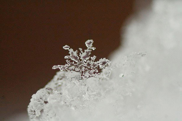 Incredible Examples of Snowflake Photography 9 68