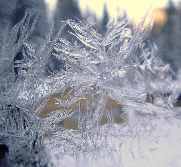 Incredible Examples of Snowflake Photography 10 67