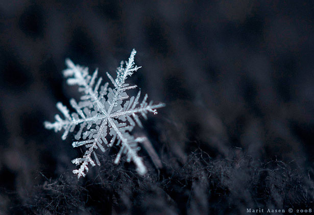 Incredible Examples of Snowflake Photography 11 68