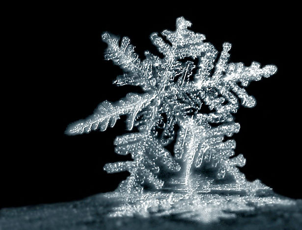 Incredible Examples of Snowflake Photography 12 63