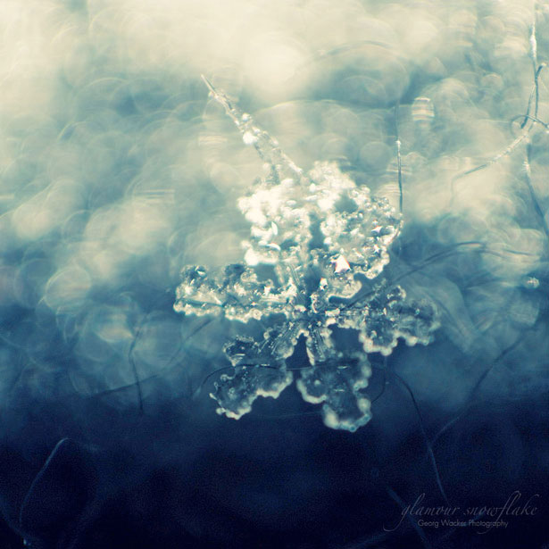 Incredible Examples of Snowflake Photography 13 66