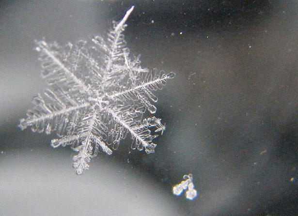 Incredible Examples of Snowflake Photography 18 39