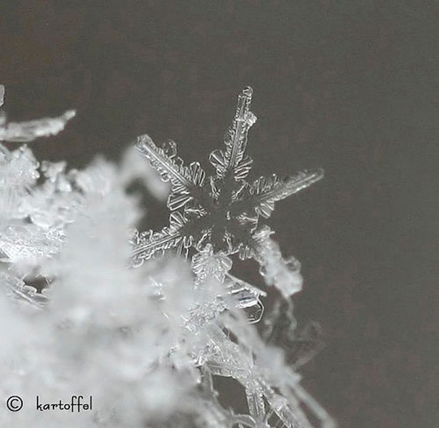 Incredible Examples of Snowflake Photography 1 110