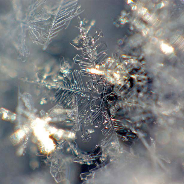 Incredible Examples of Snowflake Photography 22 18