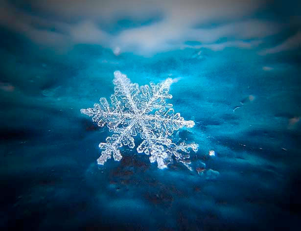 Incredible Examples of Snowflake Photography 24 13