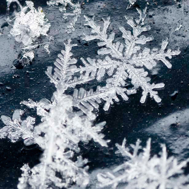 Incredible Examples of Snowflake Photography 25 12
