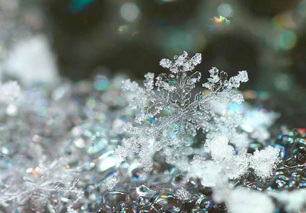 Incredible Examples of Snowflake Photography 27 8