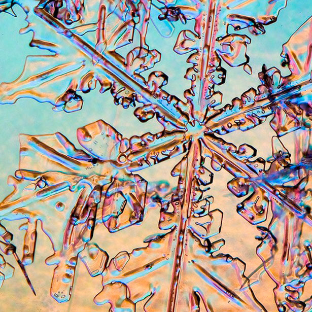 Incredible Examples of Snowflake Photography 30 4