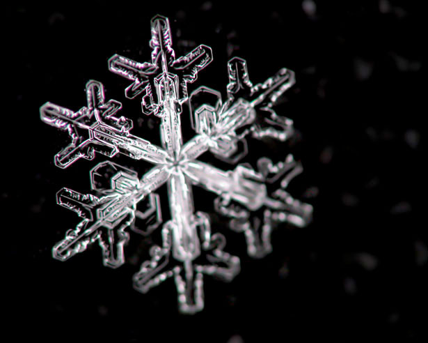 Incredible Examples of Snowflake Photography 36 3