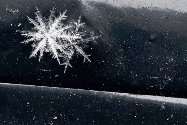 Incredible Examples of Snowflake Photography 37 4