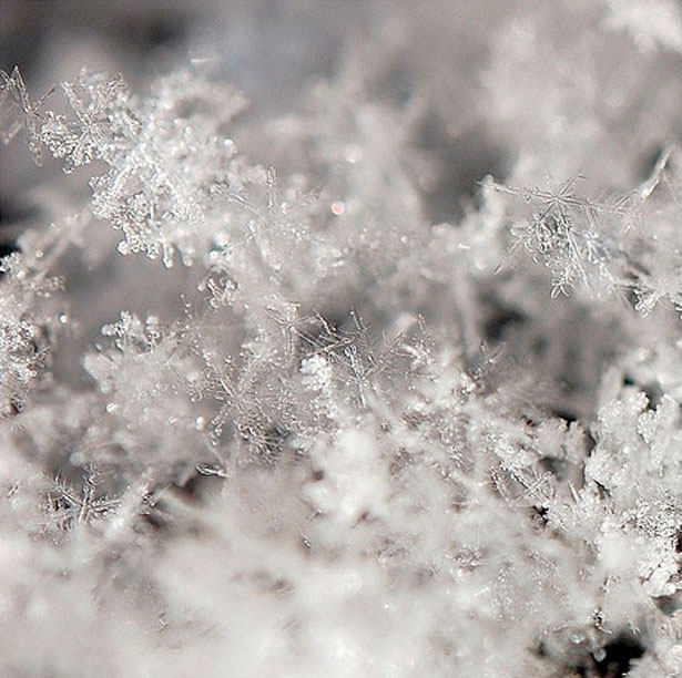 Incredible Examples of Snowflake Photography 39 4