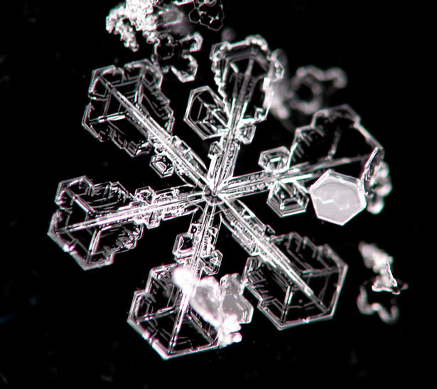 Incredible Examples of Snowflake Photography 40 5
