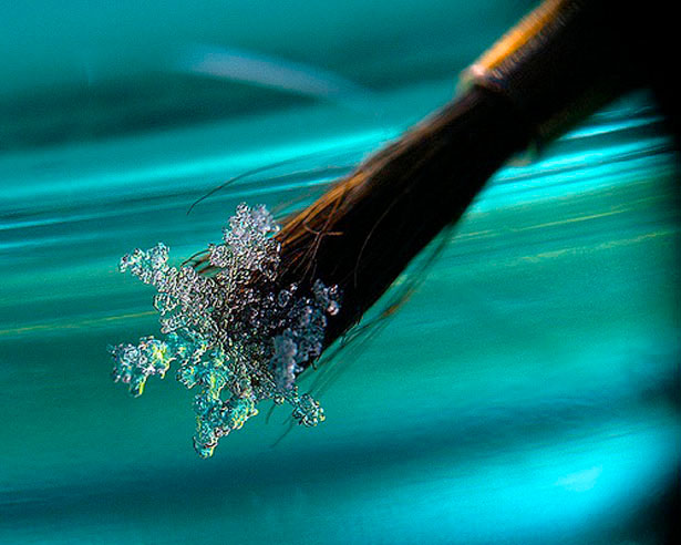 Incredible Examples of Snowflake Photography 43 4