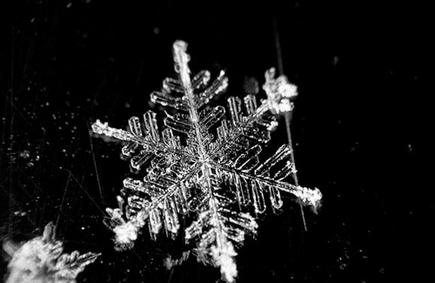 Incredible Examples of Snowflake Photography 45 3