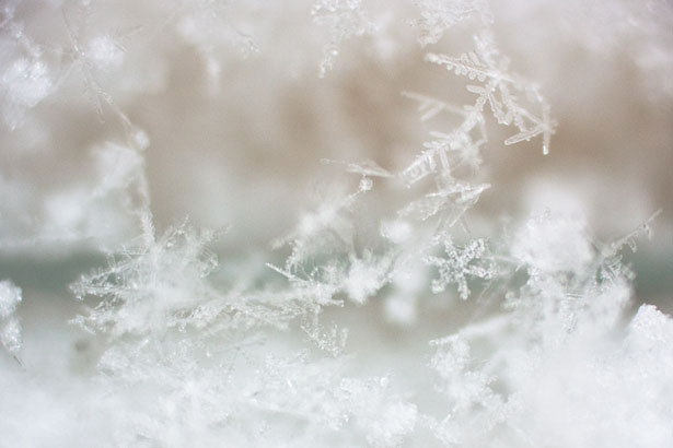 Incredible Examples of Snowflake Photography 46 2