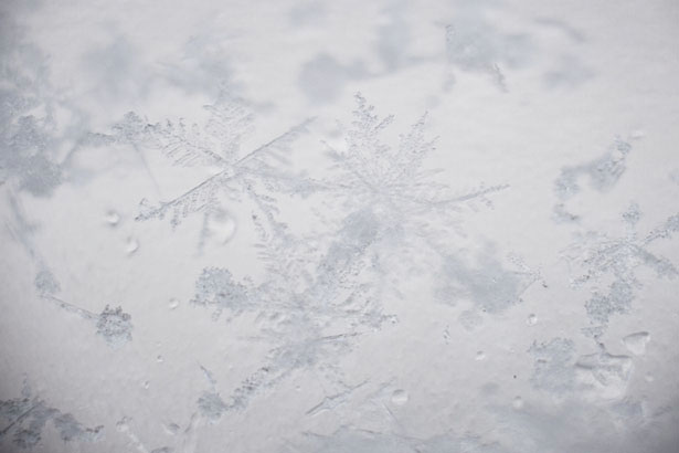 Incredible Examples of Snowflake Photography 47 3