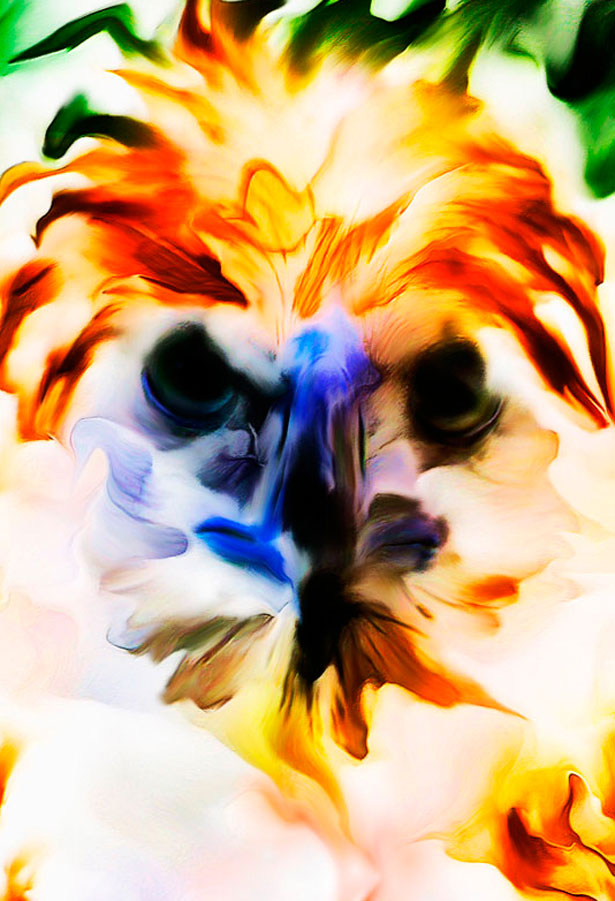 The Mesmerizing Art of Jordan S. Dill 10 70