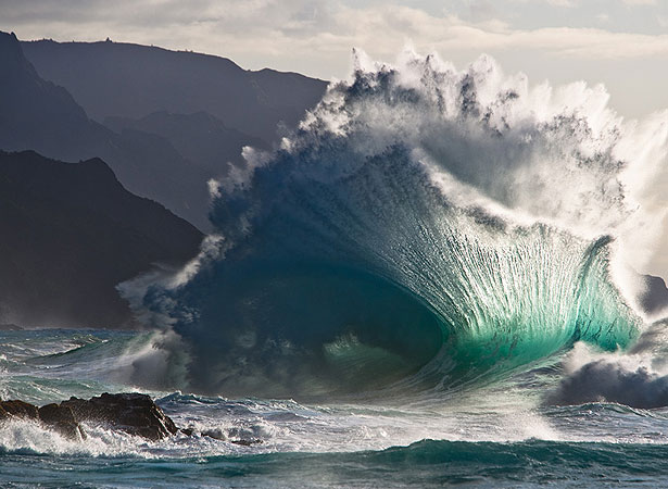 Our Favorite Tweets of the Week <br/>Nov 22-Nov 28, 2009 14 72