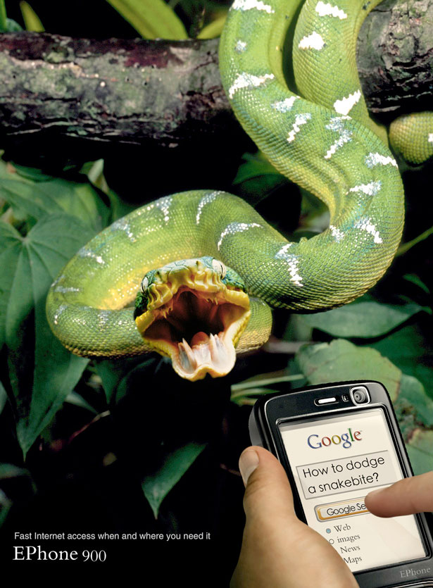 snakebite