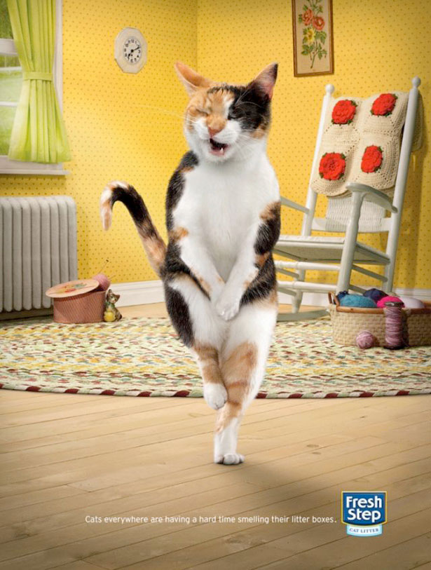 freshstep