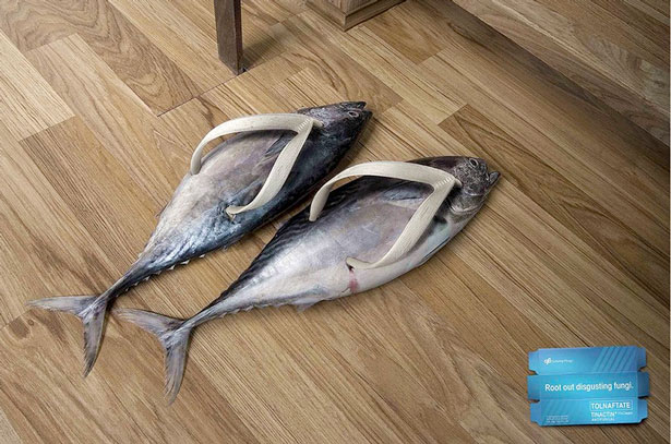 fish