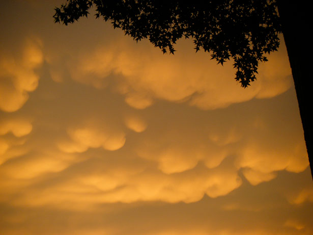 The Weirdest Clouds that You'll Ever See 8 82