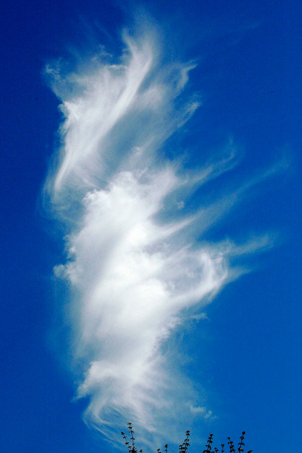 The Weirdest Clouds that You'll Ever See 19 47