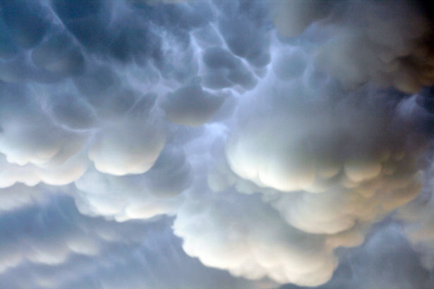 The Weirdest Clouds that You'll Ever See 22 26