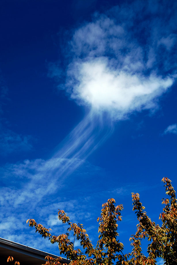 The Weirdest Clouds that You'll Ever See 23 23
