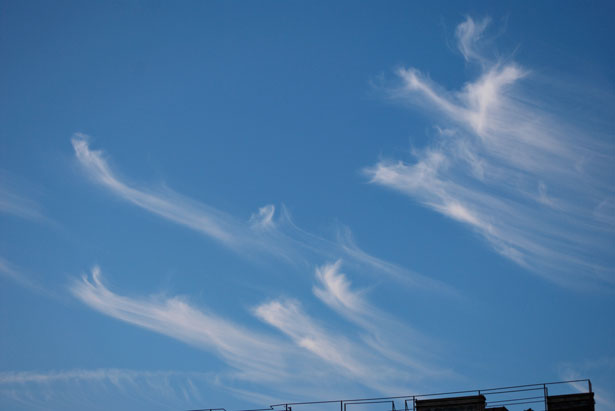 The Weirdest Clouds that You'll Ever See 30 7