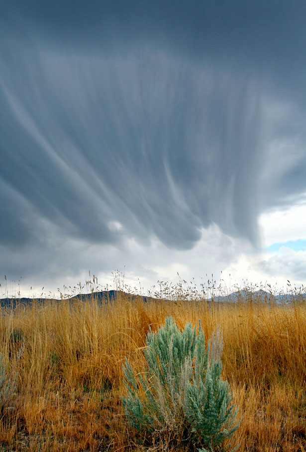 The Weirdest Clouds that You'll Ever See 31 5