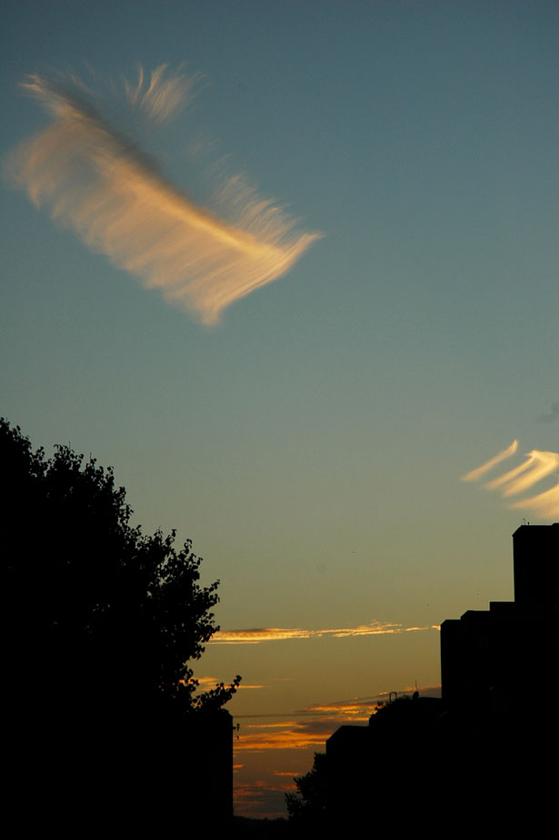 The Weirdest Clouds that You'll Ever See 51 2