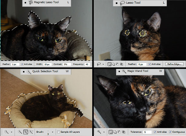 Do's and Don'ts of Photoshop Retouching 07 SelectionTools