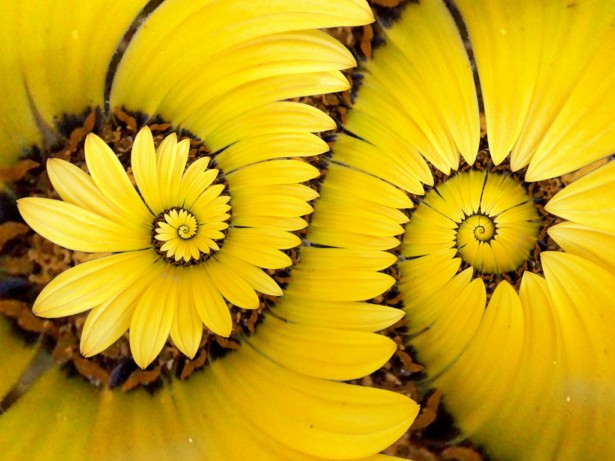 50 Stunning Examples of the Droste Effect 08