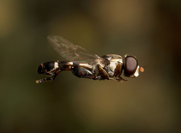 Our Favorite Tweets of the Week <br/> Sep 13-Sep 19, 2009 20 42