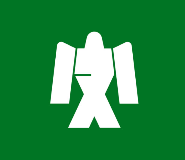 100 Examples of Japanese Municipal Flags HachijoTokyo