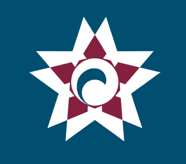 100 Examples of Japanese Municipal Flags HakodateHokkaido
