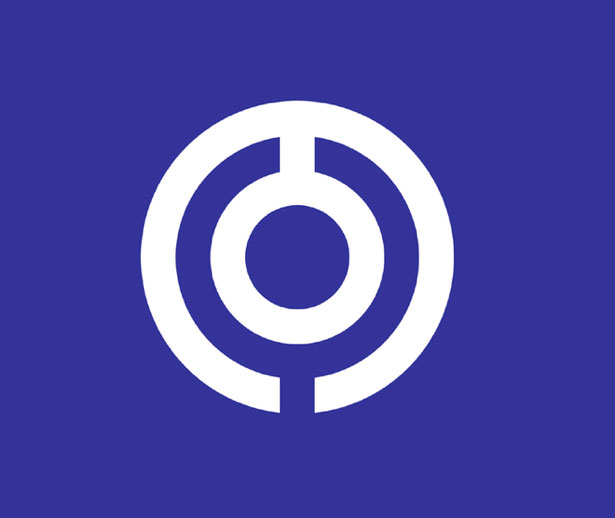 100 Examples of Japanese Municipal Flags IshigakiOkinawa