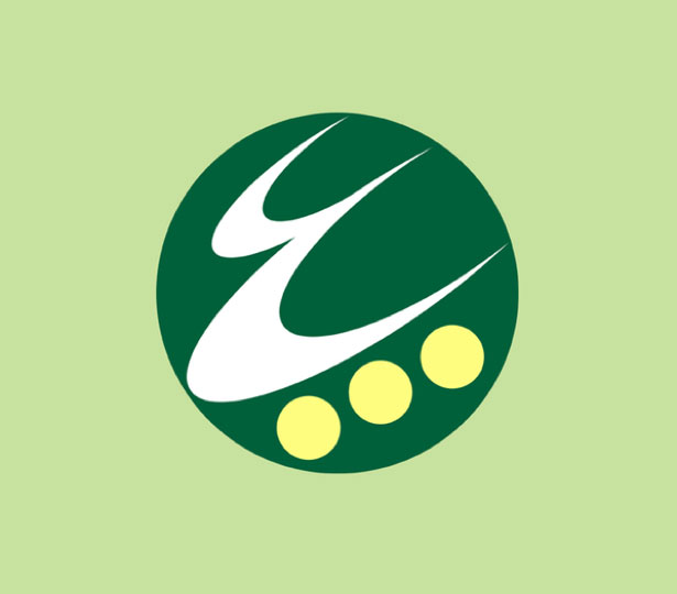 100 Examples of Japanese Municipal Flags ItoigawaNiigata