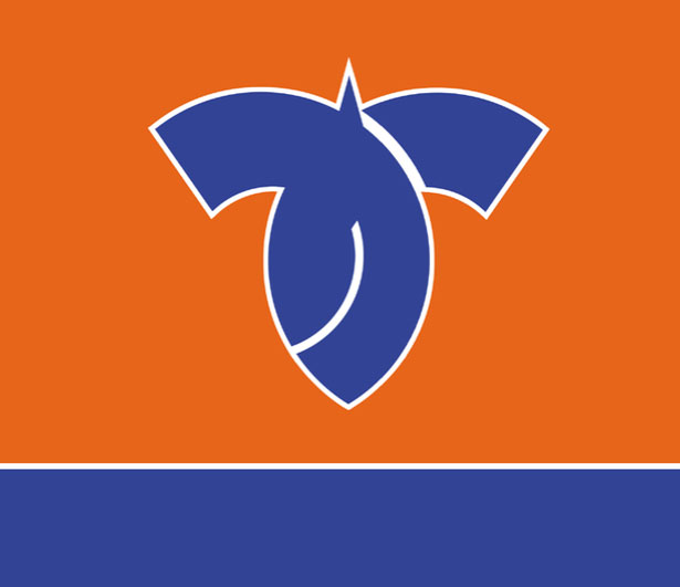 100 Examples of Japanese Municipal Flags KaruizawaNagano