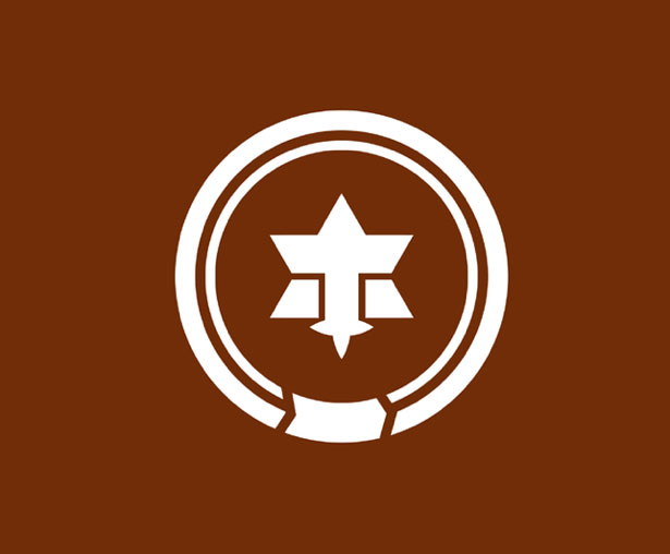 100 Examples of Japanese Municipal Flags MatsumotoNagano
