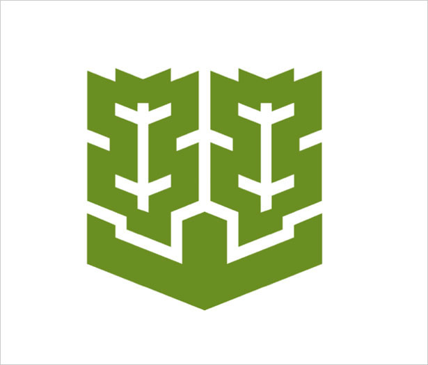 100 Examples of Japanese Municipal Flags MatsuyamaEhime