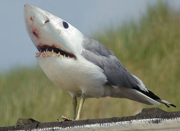 Our Favorite Tweets of the Week <br/> Aug 16-Aug 22, 2009 11 91