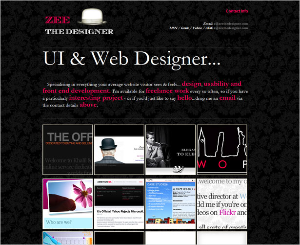 Creating the "Perfect" Portfolio Zee the Designer