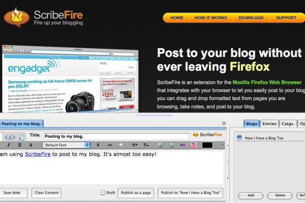 How to Blog Effectively scribe