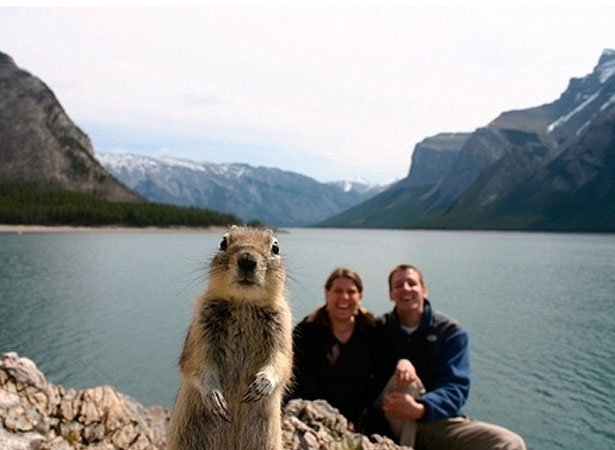 Our Favorite Tweets of the Week <br/> Aug 9-Aug 15, 2009 15 87