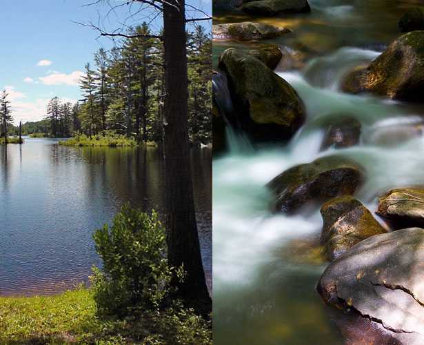 17 Techniques for Creating Designs Inspired by Nature Moving Water